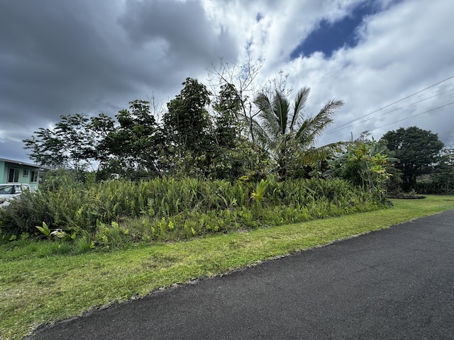 Mapuana Ave, Pahoa, HI 96778 - photo 5