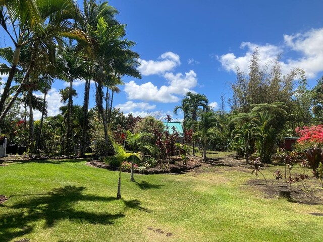 15-1500 10th Ave, Keaau, HI 96749 - view of grassy yard