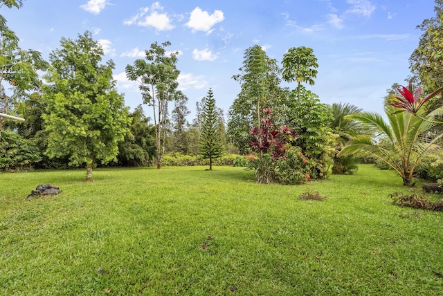 11-3318 Lehua St, Mountain View, HI 96771 - photo 8
