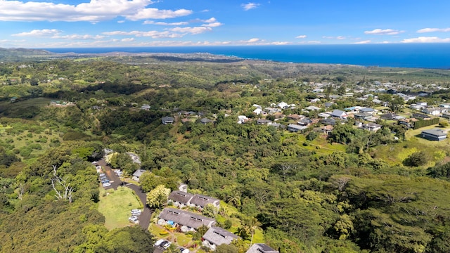 4460 Ikena Pl Unit 54, Kalaheo, HI 96741 - aerial overview of property's location featuring a heavily wooded area and a large body of water