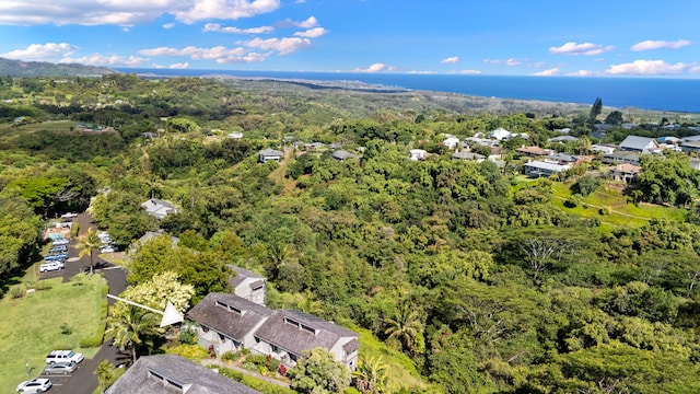 4460 Ikena Pl Unit 54, Kalaheo, HI 96741 - drone / aerial view of a heavily wooded area