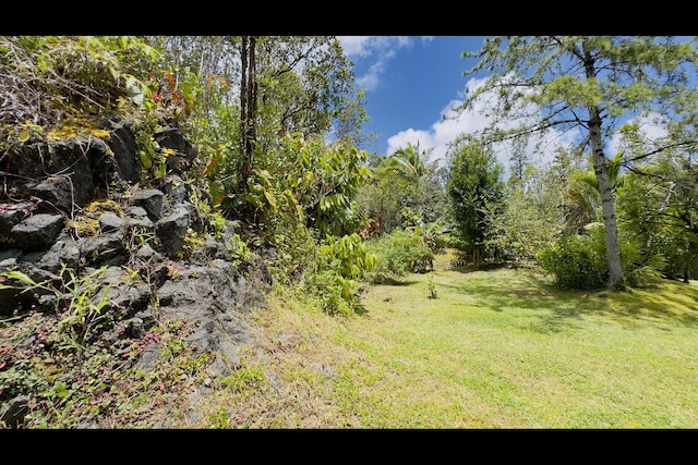 11-3250 Lehua St, Mountain View, HI 96771 - view of green lawn