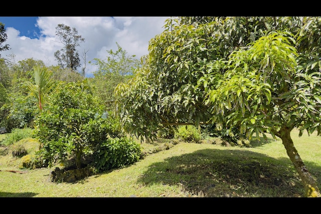 11-3250 Lehua St, Mountain View, HI 96771 - view of grassy yard