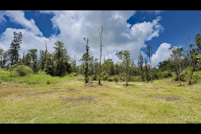 11-3250 Lehua St, Mountain View, HI 96771 - view of undeveloped land