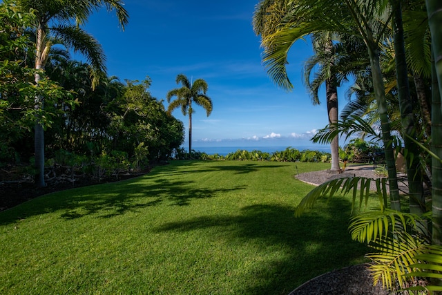 76-853 N Pakalakala Pl, Kailua-Kona, HI 96740 - view of grassy yard