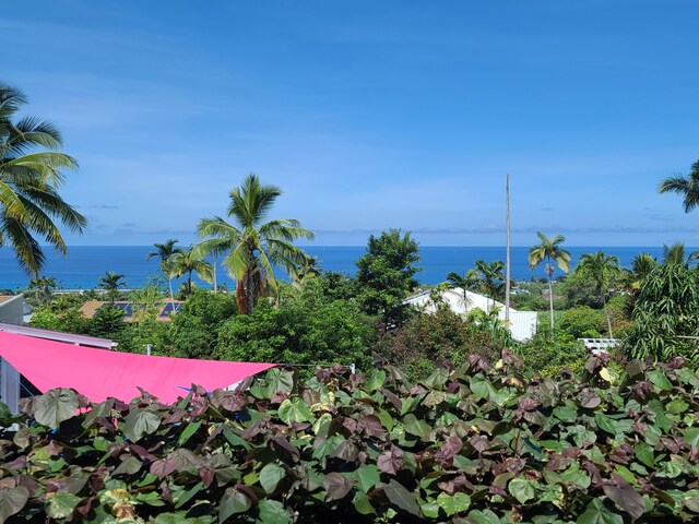 76-6252 Kokoolua Way, Kailua-Kona, HI 96740 - water view