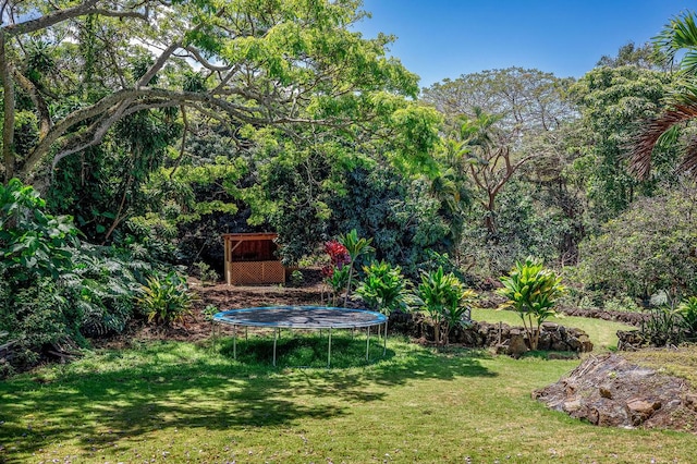 78-7259 Puuloa Rd, Kailua-Kona, HI 96740 - view of grassy yard with a trampoline