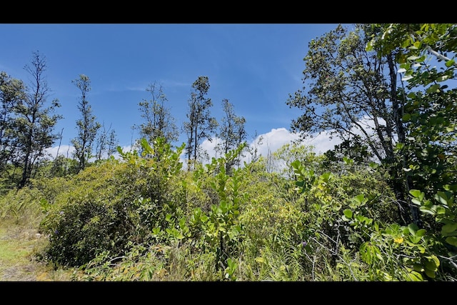 6th Ave, Keaau, HI 96749 - photo 13