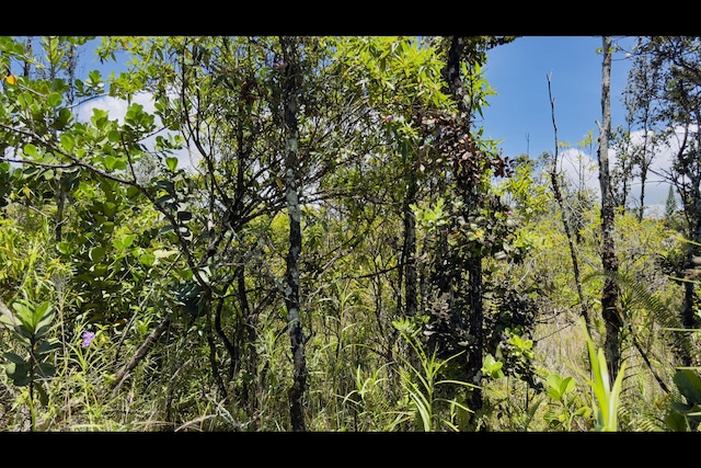 6th Ave, Keaau, HI 96749 - photo 15