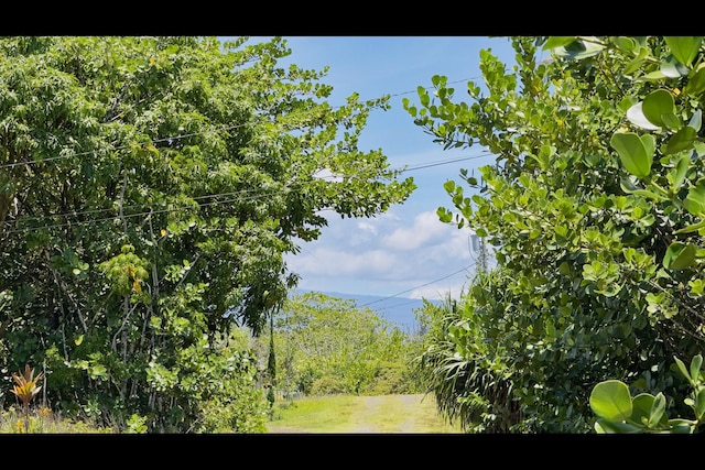 6th Ave, Keaau, HI 96749 - photo 16