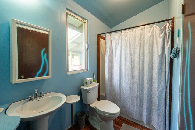 16-2041 Emerald Dr, Pahoa, HI 96778 - bathroom featuring toilet, a sink, lofted ceiling, wood finished floors, and a shower with curtain