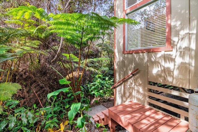 11-3868 Liona St, Volcano, HI 96785 - exterior view