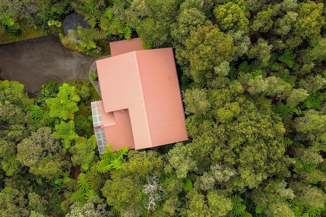 11-3868 Liona St, Volcano, HI 96785 - view from above of property
