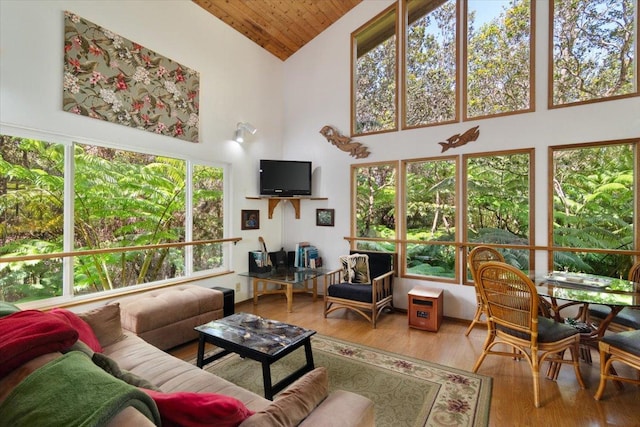11-3868 Liona St, Volcano, HI 96785 - living area with high vaulted ceiling, wood finished floors, and wood ceiling