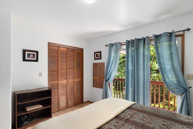 11-3868 Liona St, Volcano, HI 96785 - bedroom with multiple windows, a closet, and wood finished floors