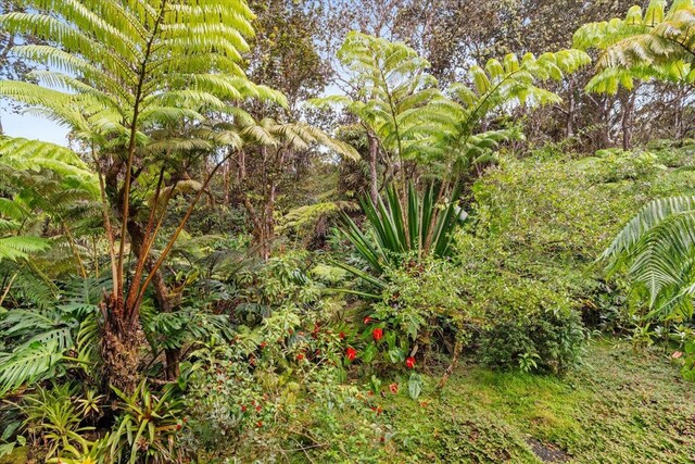 11-3868 Liona St, Volcano, HI 96785 - view of undeveloped land