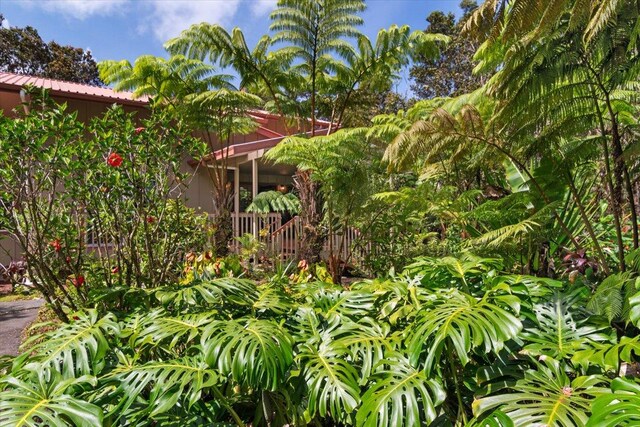 11-3868 Liona St, Volcano, HI 96785 - view of yard