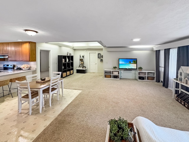 410 Olu St, Hilo, HI 96720 - living room featuring light carpet and a textured ceiling