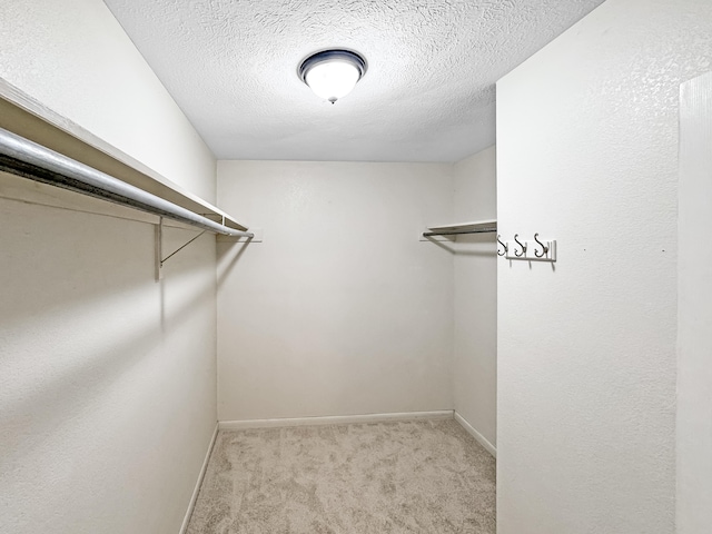 410 Olu St, Hilo, HI 96720 - spacious closet with light colored carpet