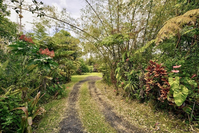 13-1312 Malama St, Pahoa, HI 96778 - view of street