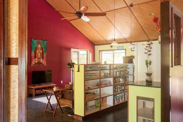 15-2045 8th Ave, Keaau, HI 96749 - living area featuring a ceiling fan and high vaulted ceiling