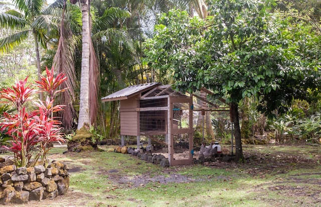 15-2045 8th Ave, Keaau, HI 96749 - view of poultry coop