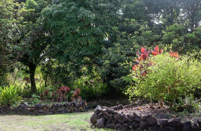 15-2045 8th Ave, Keaau, HI 96749 - view of yard
