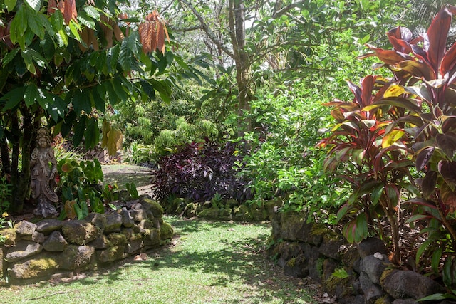 15-2045 8th Ave, Keaau, HI 96749 - view of grassy yard