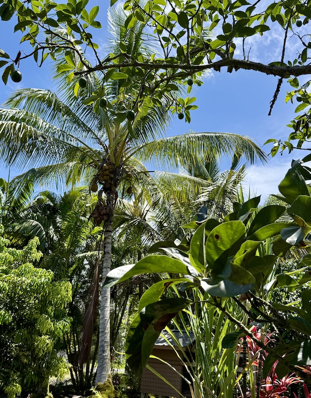 15-2045 8th Ave, Keaau, HI 96749 - exterior view