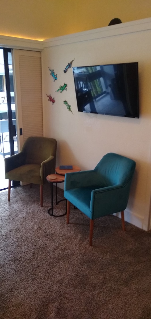 400 Hualani St Unit 1301, Hilo, HI 96720 - living area with carpet flooring and plenty of natural light