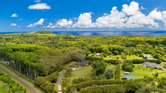 4675 Wailapa Rd, Kilauea, HI 96754 - bird's eye view of a heavily wooded area and a large body of water