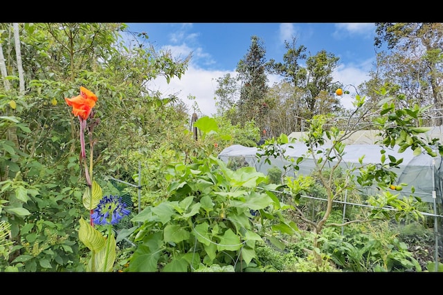 11-2722 Makoa Rd, Volcano, HI 96785 - exterior view