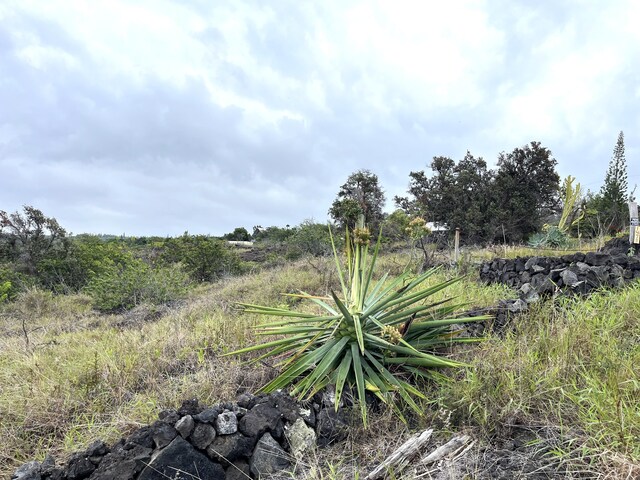 88-1484 Awapuhi Pl, Captain Cook, HI 96704 - photo 4