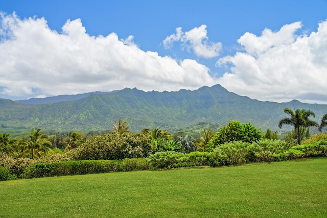 Kilauea, HI 96754 - photo 1