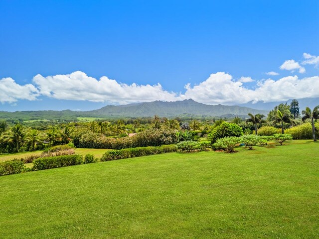 Kilauea, HI 96754 - photo 8