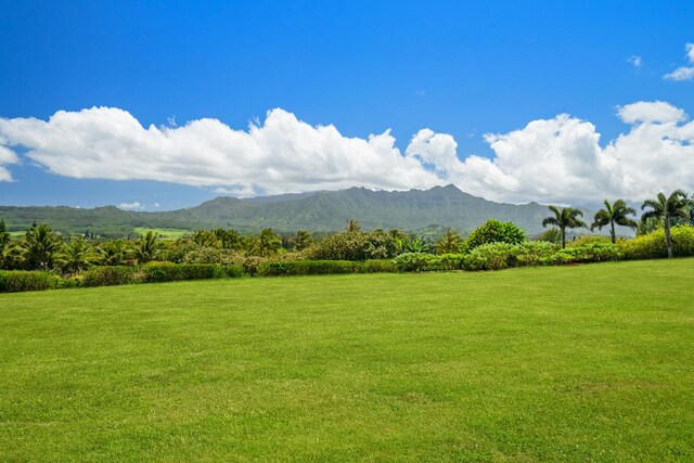 Kilauea, HI 96754 - photo 10