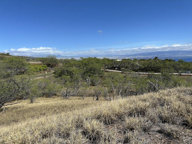 59-106 Olomana Rd, Kamuela, HI 96743 - photo 2