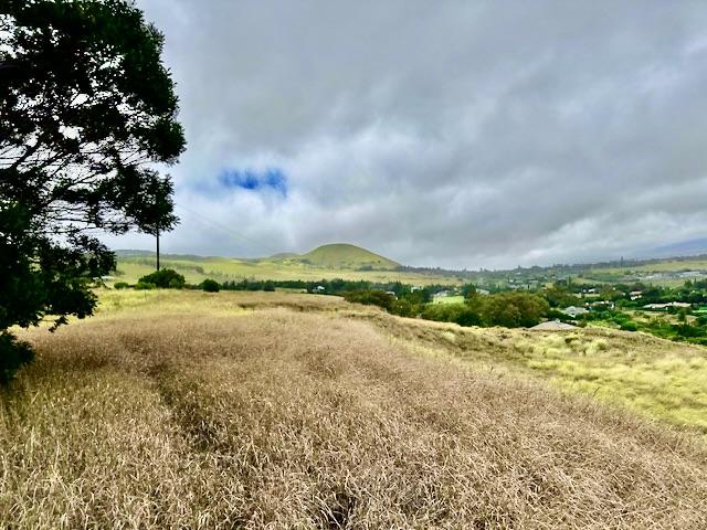 62-1750 Ohiaku Pl, Kamuela, HI 96743 - photo 5