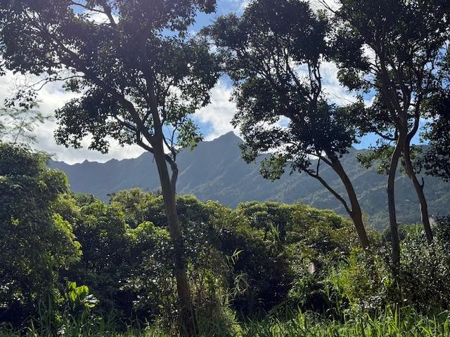 Kahiliholo Rd, Kilauea, HI 96722