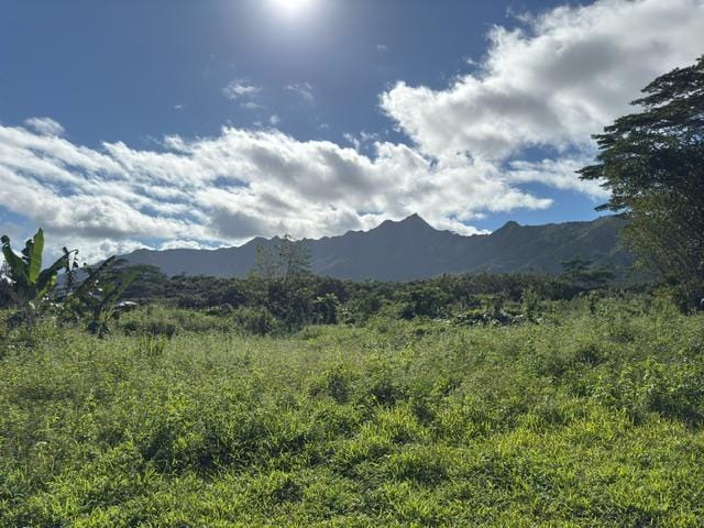 Kahiliholo Rd, Kilauea, HI 96722