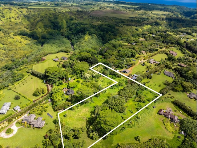 Kahiliholo Rd, Kilauea, HI 96722