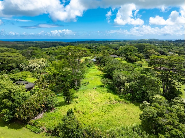 Kahiliholo Rd, Kilauea, HI 96722