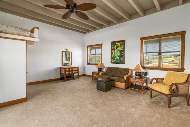 4597 Lehua St, Kapaa, HI 96746 - photo 12