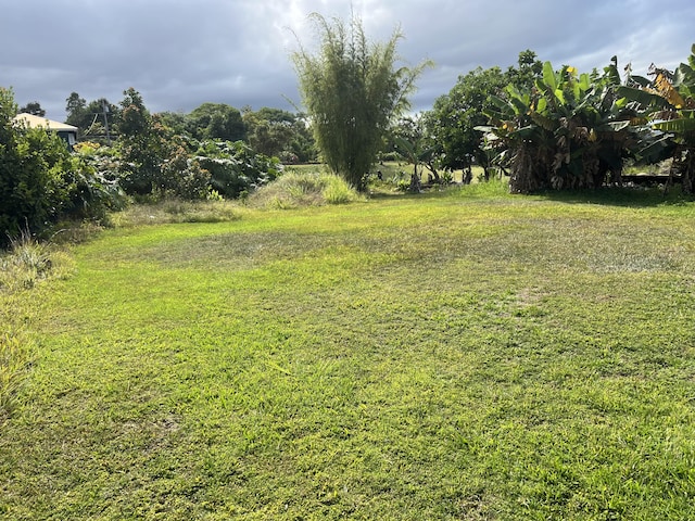 90 Santos St, Hilo, HI 96720 - view of yard