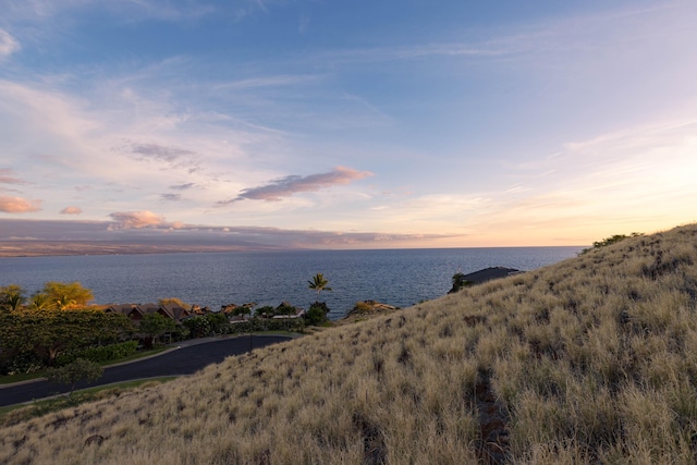 59-102 Umaumalei Pl, Kamuela, HI 96743