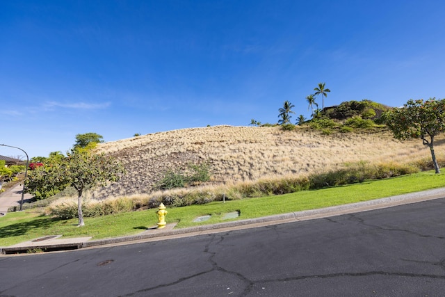 59-102 Umaumalei Pl, Kamuela, HI 96743