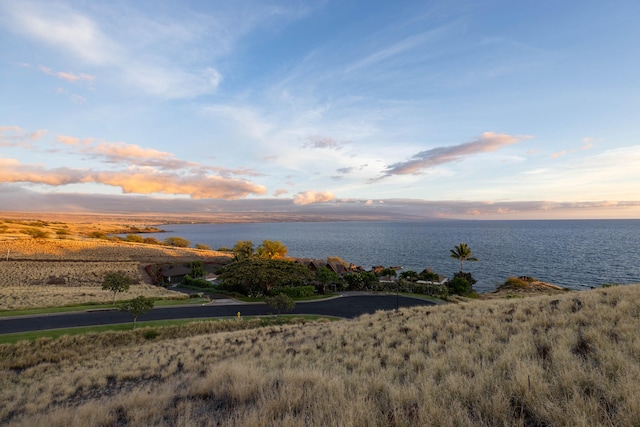 59-102 Umaumalei Pl, Kamuela, HI 96743