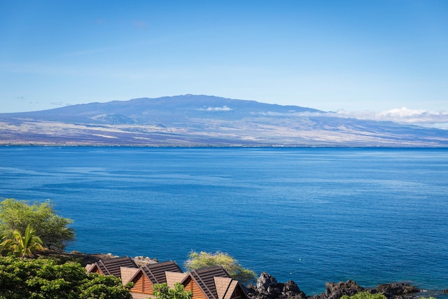 59-102 Umaumalei Pl, Kamuela, HI 96743