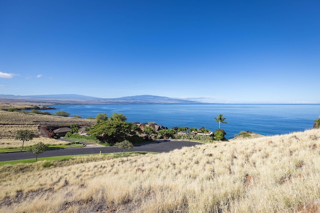 59-102 Umaumalei Pl, Kamuela, HI 96743