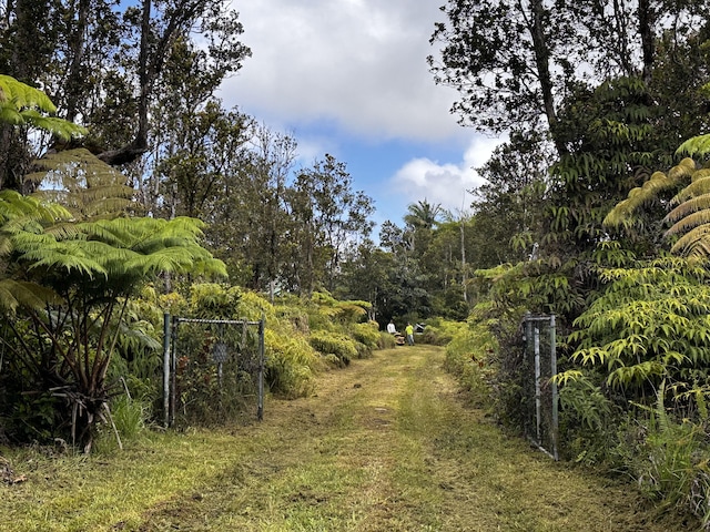 11-2736 Makoa Rd, Volcano, HI 96785 - photo 5